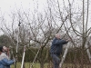 2011-02-26-hsb-blesdijke-2712