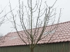 2011-02-26-hsb-blesdijke-2717