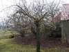 2011-02-26-hsb-blesdijke-2719