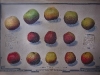 2011-02-26-hsb-blesdijke-2729
