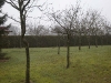 20111-02-26-hsb-blesdijke-2708