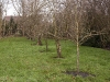 2012-01-14-hsb-blesdijke-3491