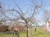 2011-03-19-hsb-de-basse-2780