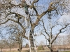 2011-03-05-hsb-giethoorn-2757