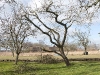 2011-03-05-hsb-giethoorn-2759