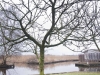 2013-02-16-hsb-giethoorn-4508