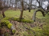 2011-02-12-hsb-jonen-2673