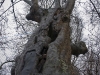 2011-02-12-hsb-jonen-2679