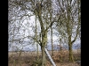 2010-03-13-hsb-luttelgeest-1828