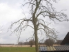 2014-02-22-hsb-st-jansklooster-5152