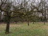 2011-03-26-hsb-vollenhove-2786