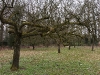 2011-03-26-hsb-vollenhove-2786