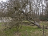 2011-03-26-hsb-vollenhove-2792