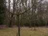 2011-03-26-hsb-vollenhove-2793