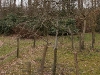 2011-03-26-hsb-vollenhove-2794