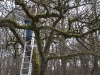 2011-03-26-hsb-vollenhove-2798