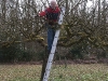 2011-03-26-hsb-vollenhove-2800