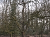 2011-03-26-hsb-vollenhove-2802