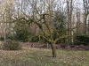 2011-03-26-hsb-vollenhove-2804