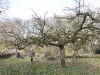 2011-03-26-hsb-vollenhove-2805