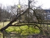 2011-03-26-hsb-vollenhove-2810