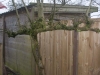 2016 02 06 HSB Wanneperveen 6041