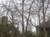 2016 02 06 HSB Wanneperveen 6042