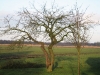 2011-01-08-hbs-te-wanneperveen-1