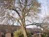 2012-01-28-hsb-wanneperveen-3515