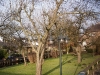 2012-01-28-hsb-wanneperveen-3516