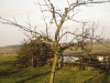 2012-01-28-hsb-wanneperveen-3519