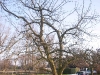 2012-01-28-hsb-wanneperveen-3520