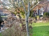 2012-01-28-hsb-wanneperveen-3523