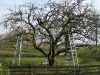 2011-03-12-hsb-wanneperveen-016