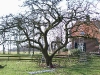 2011-03-12-hsb-wanneperveen-017
