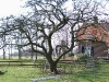 2011-03-12-hsb-wanneperveen-017