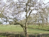 2011-03-12-hsb-wanneperveen-018