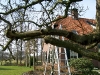 2011-03-12-hsb-wanneperveen-019