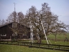 2012-03-17-hsb-wanneperveen-3609