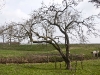 2012-03-17-hsb-wanneperveen-3612