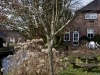 2013-03-23-hsb-wanneperveen-4536