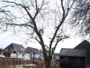 2013-03-23-hsb-wanneperveen-4537