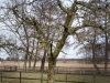 2013-03-23-hsb-wanneperveen-4544