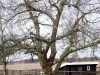 2013-03-23-hsb-wanneperveen-4545