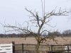 2013-03-23-hsb-wanneperveen-4547