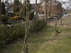 2013-03-23-hsb-wanneperveen-4548