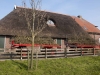 2014 03 29 HSB Wanneperveen 5184